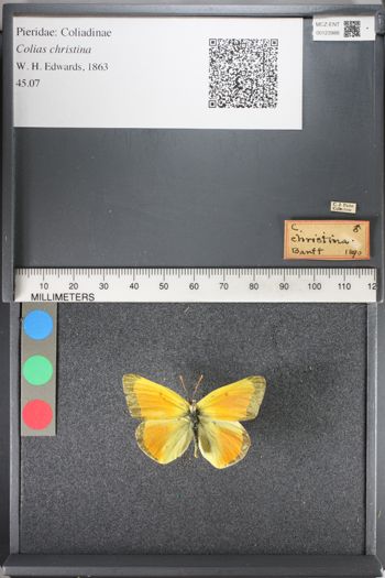 Media type: image;   Entomology 123988
